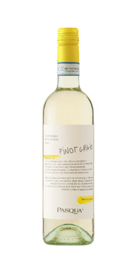 Pasqua Pinot Grigio
